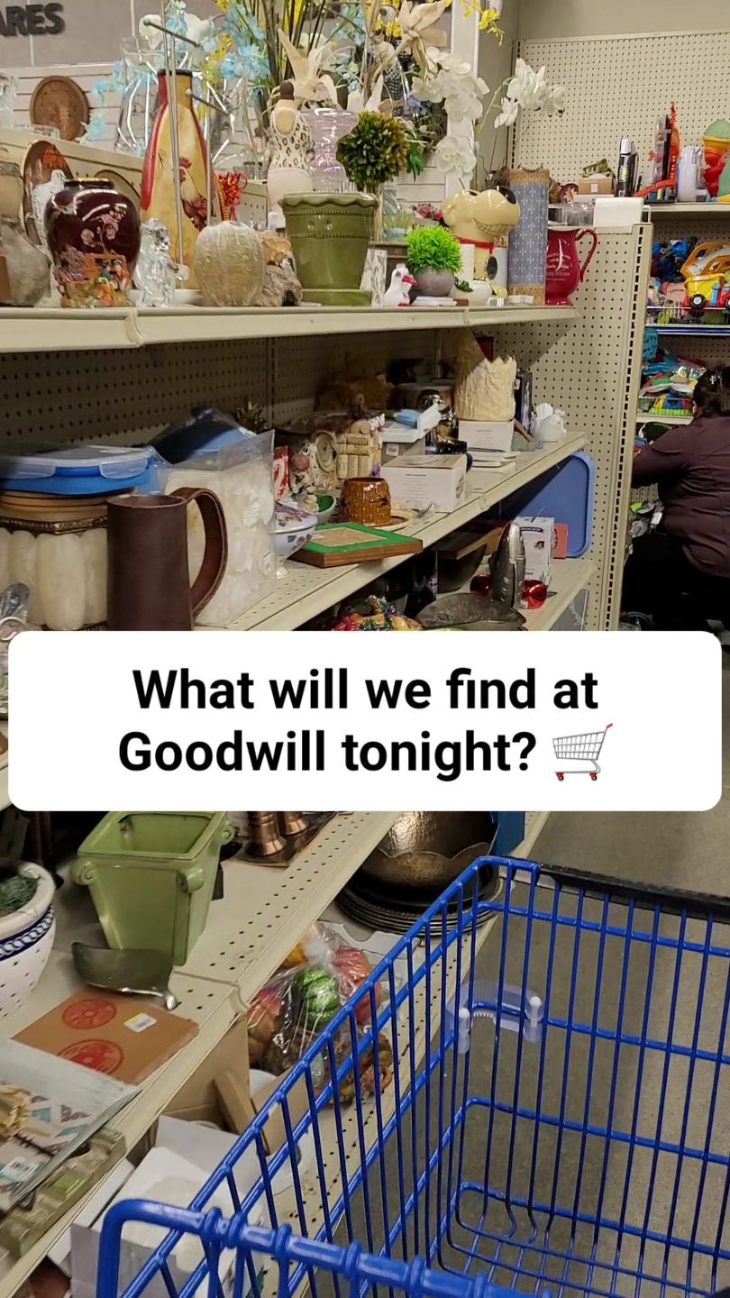 What will we find at Goodwill tonight? 😁 #goodwillfinds # ...