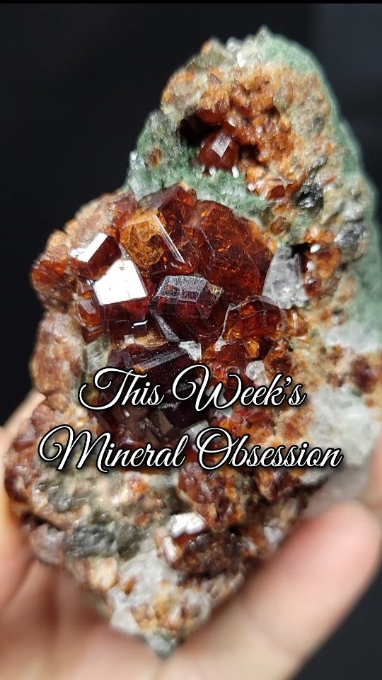 Garnet is our forever (January) crush! Showcasing a wild range of ...