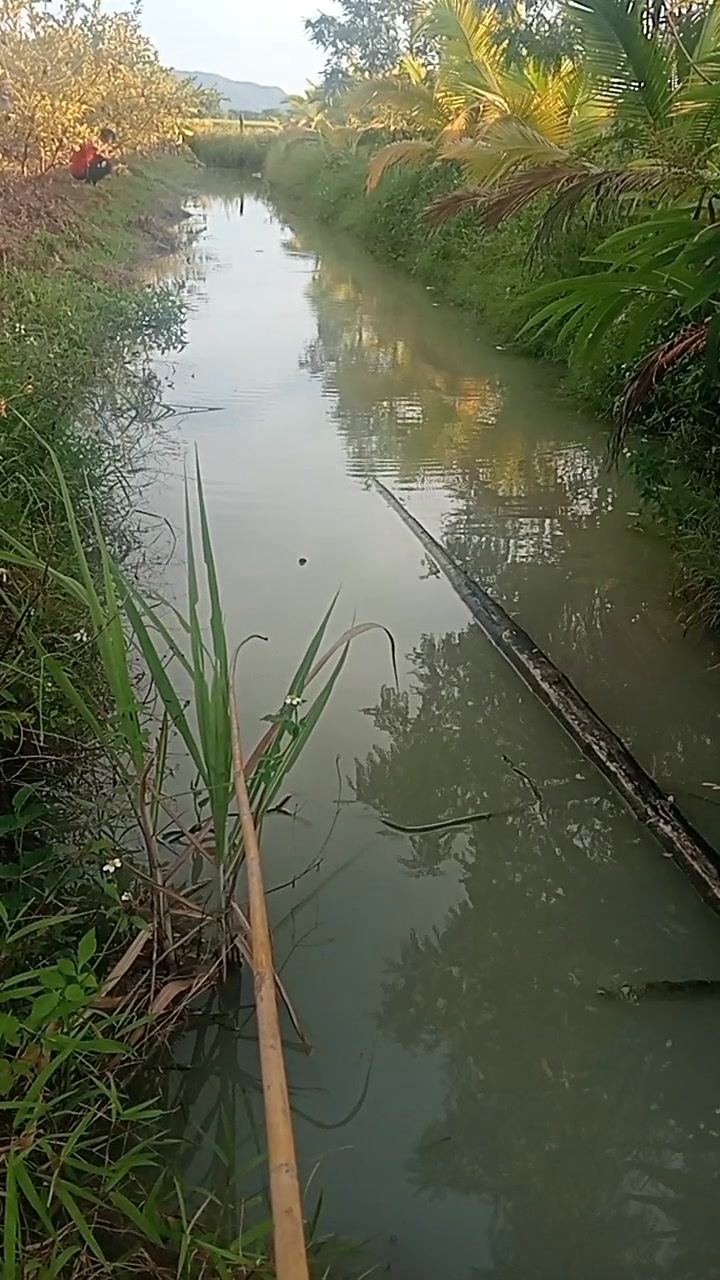Kallaya Pond