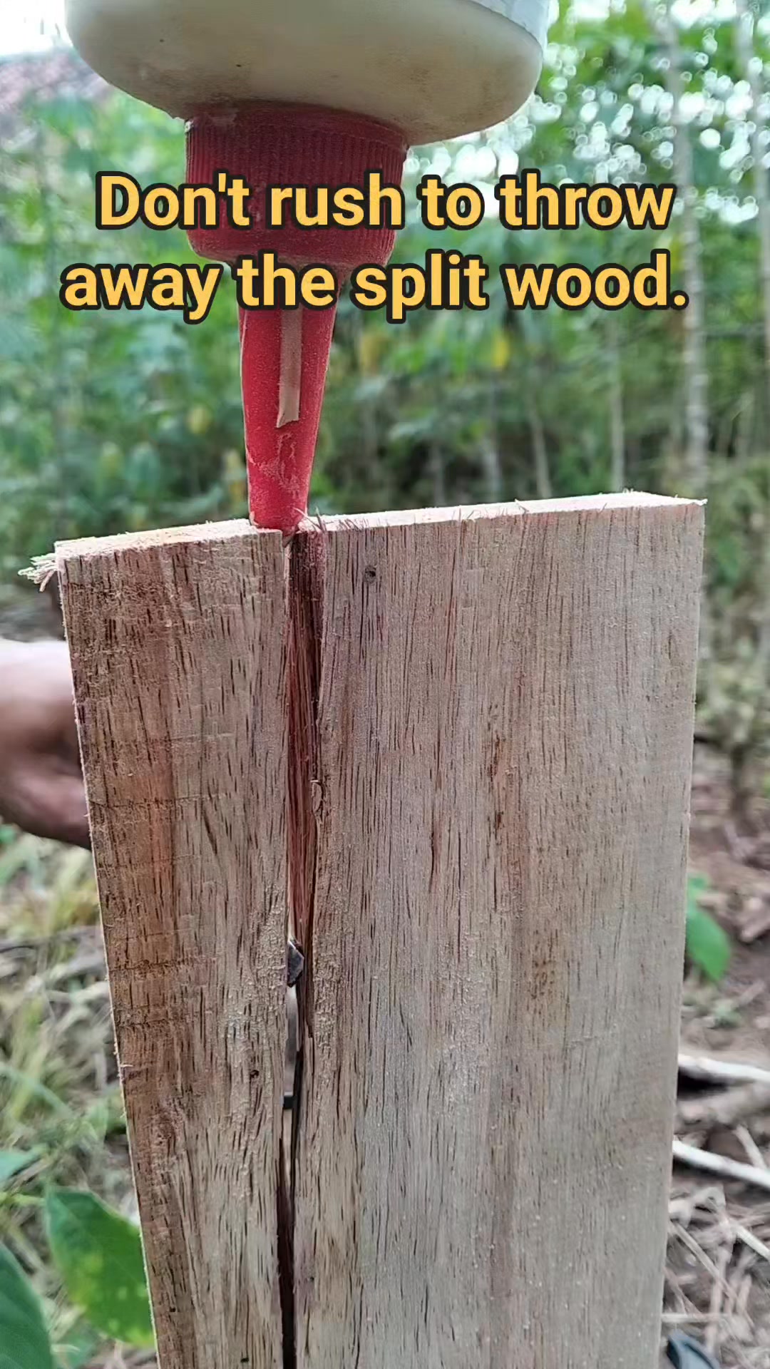Don't be too quick to throw away split wood. Look, the wood can still ...