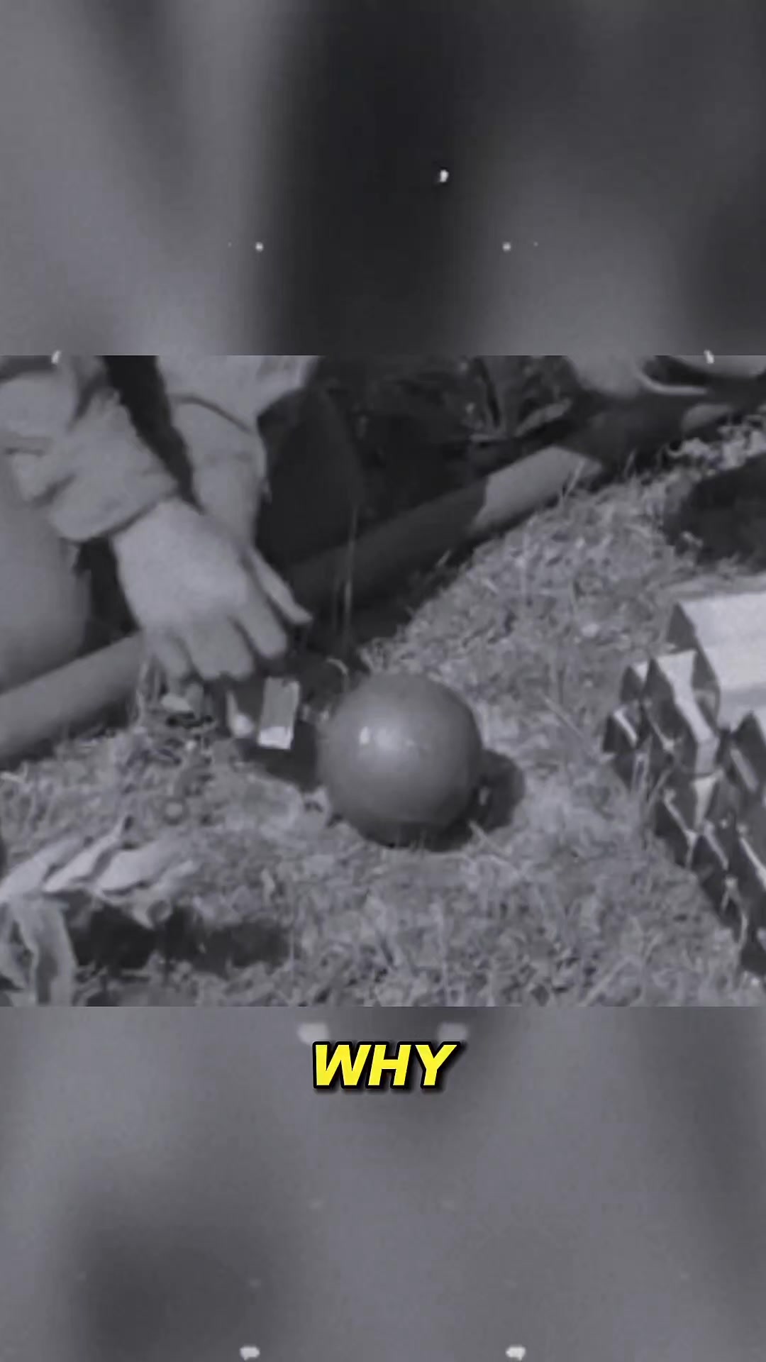 The Absurd Sticky Bomb: How Britain Used Glass Explosives and Glue to ...