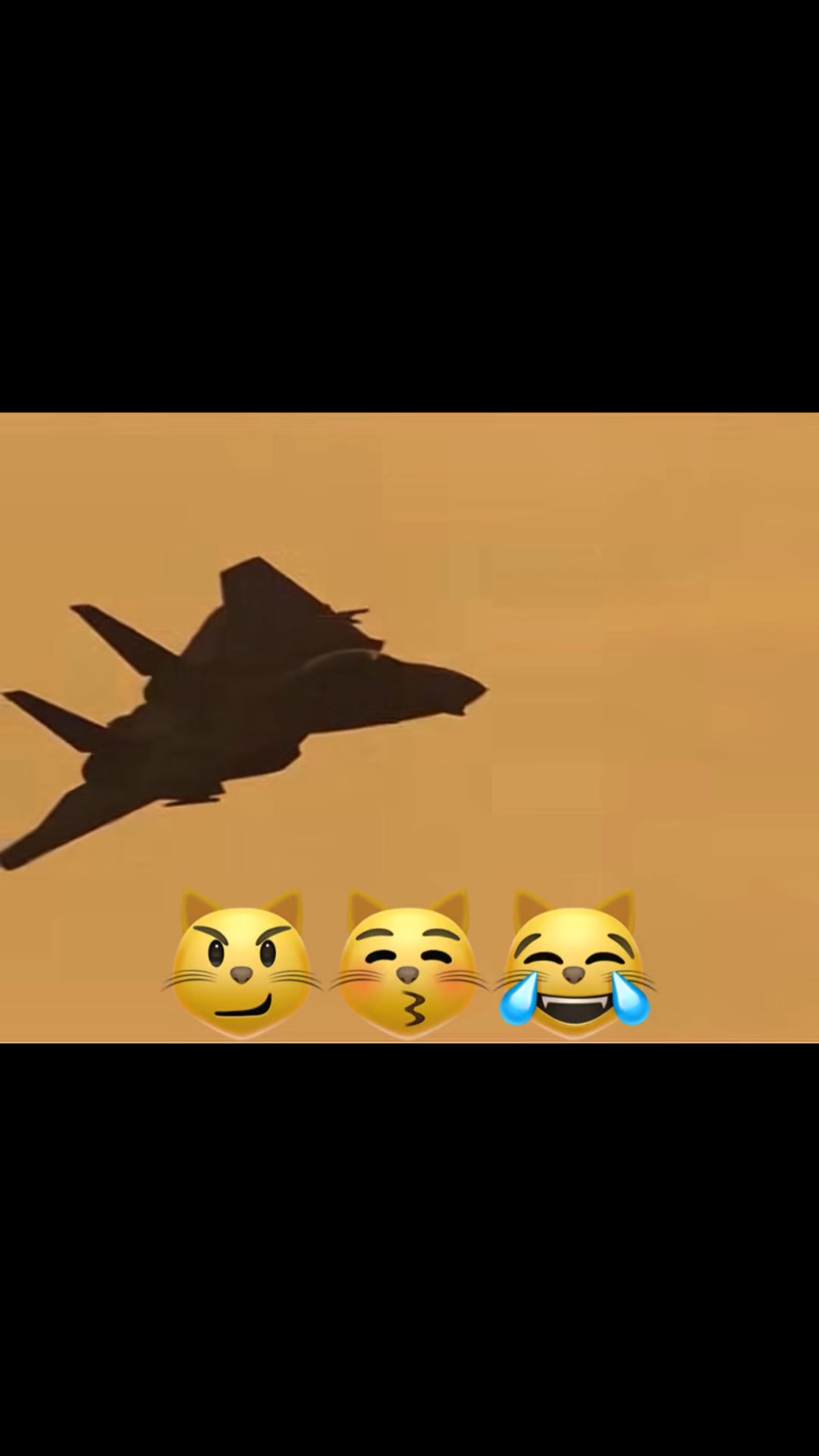 Tom’s cat has no regrets. 😼 #F14 #GrummanF14Tomcat #F14Tomcat # ...