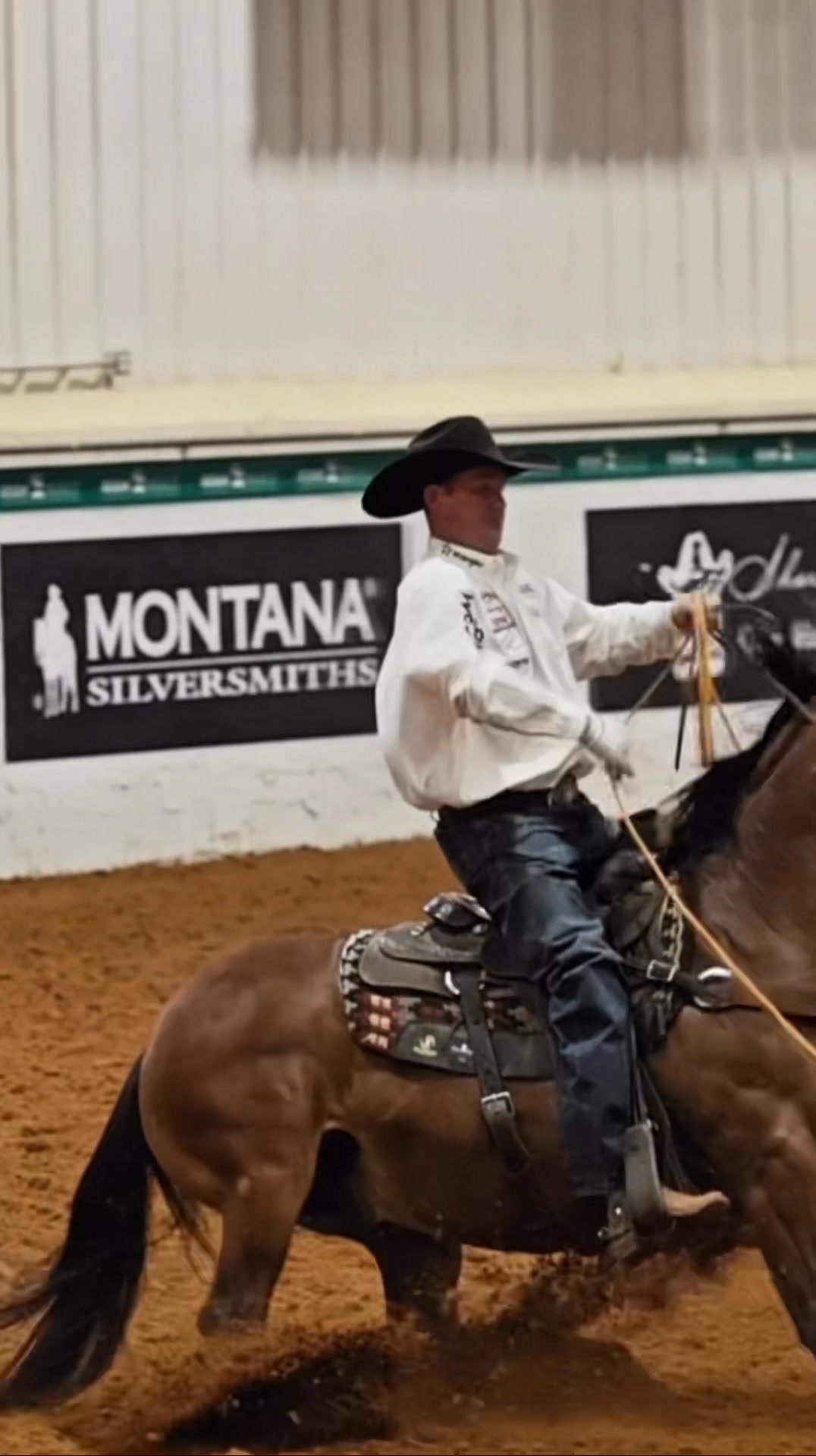 𝗛𝗢𝗨𝗗𝗜𝗡𝗜 𝗗𝗨𝗡𝗡𝗜𝗧💥 Consigned by the Cowan Ranch Levelland Horse Sale Lot ...