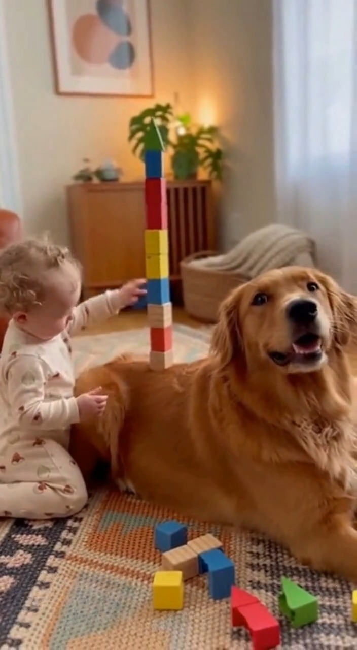 Baby stacking blocks on dog’s back; dog says, “Careful, I’m wiggly!” # ...