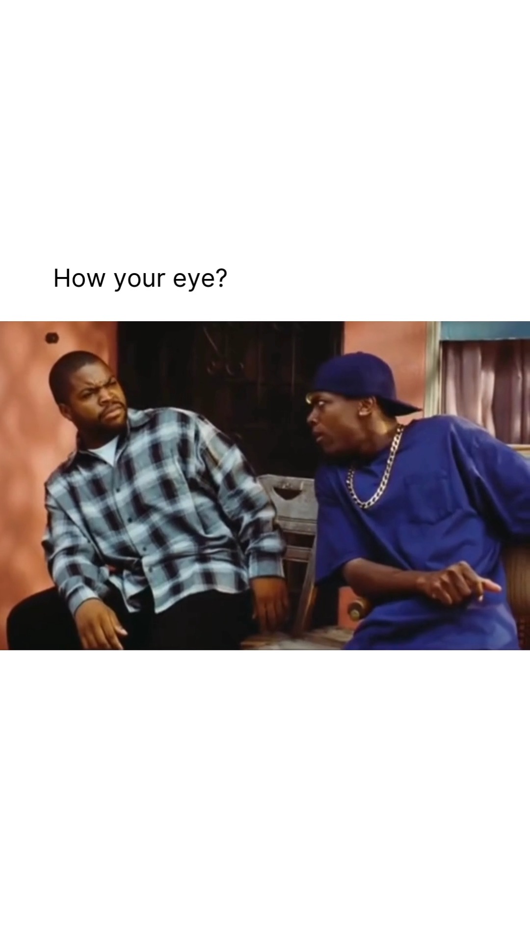 Friday (1995), directed by F. Gary Gray and starring Ice Cube and Chris ...