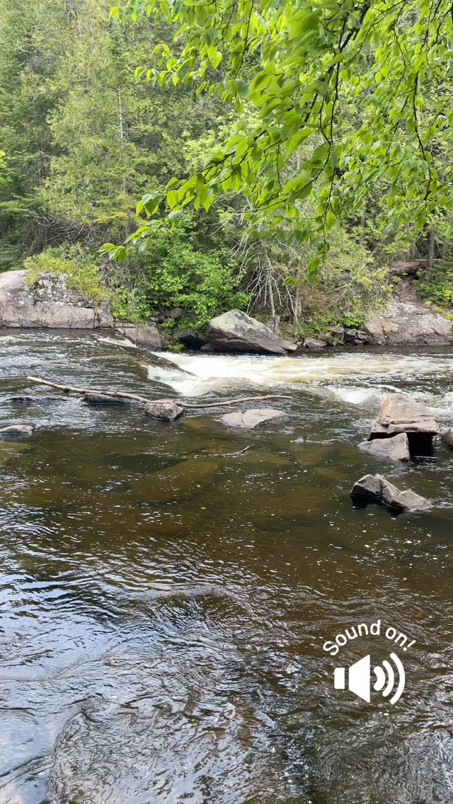 Happy to get out to paint at Ritchie Falls today! Testing my new plein ...