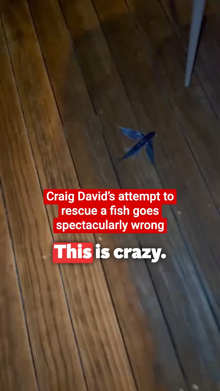 Singer Craig David has gone viral after sharing a video of himself ...