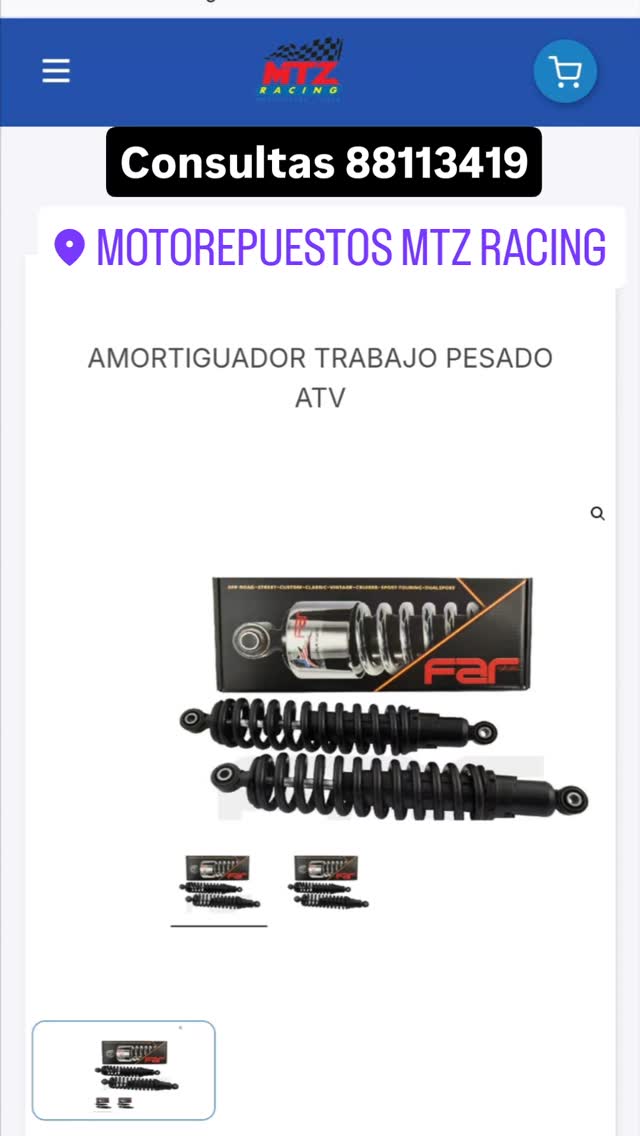 Motorepuestos MTZ Racing