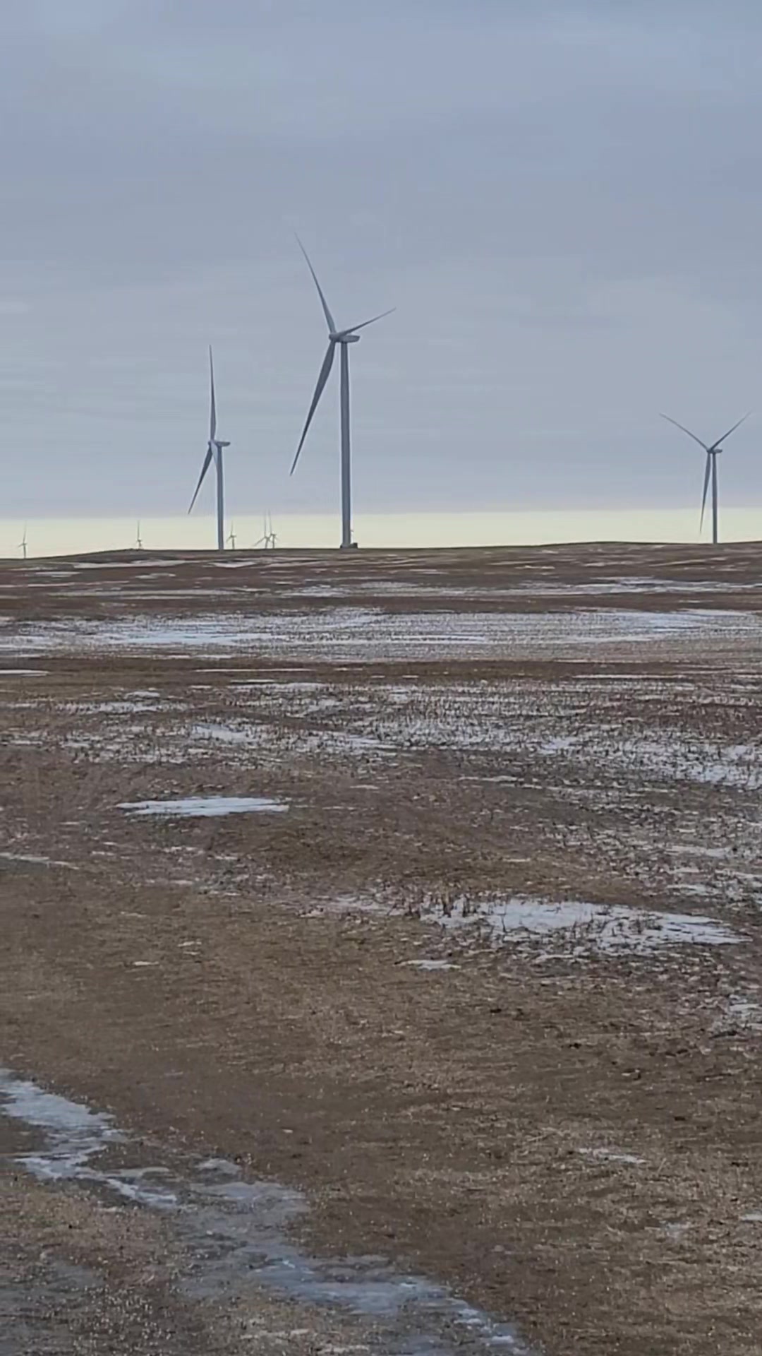 -20 and no production. Thank goodness for Coronach and Estevan power ...