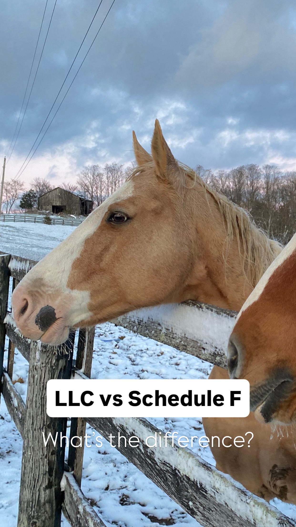 📊 Schedule F vs. LLC — What’s... - Lauren Browning Simmons | Facebook