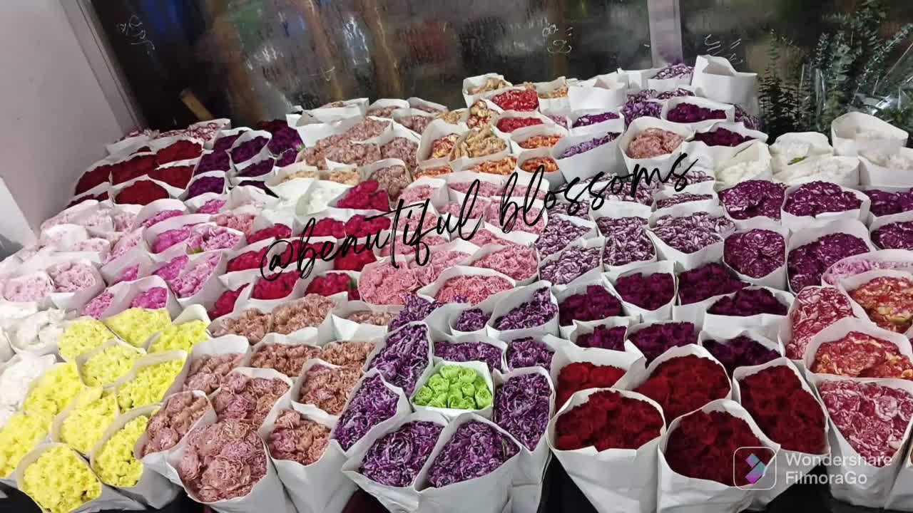 Fresh Cut Flowers In Dangwa - Beautiful Blossoms - Home