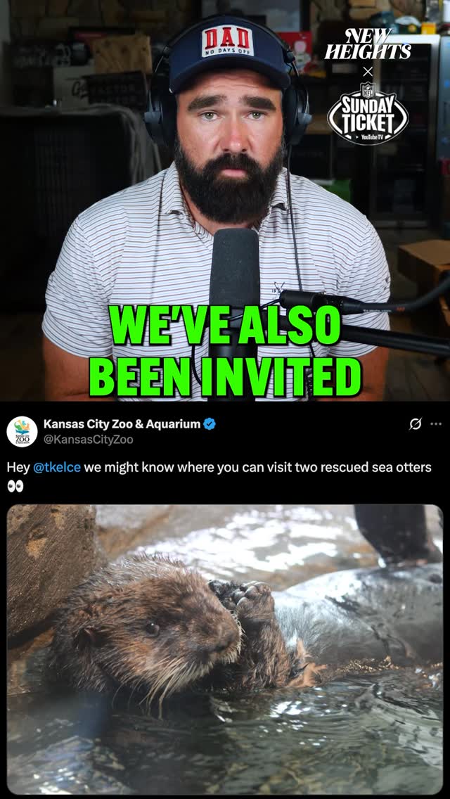 A wild otter might have to be the official mascot of New Heights 😂 NEW ...