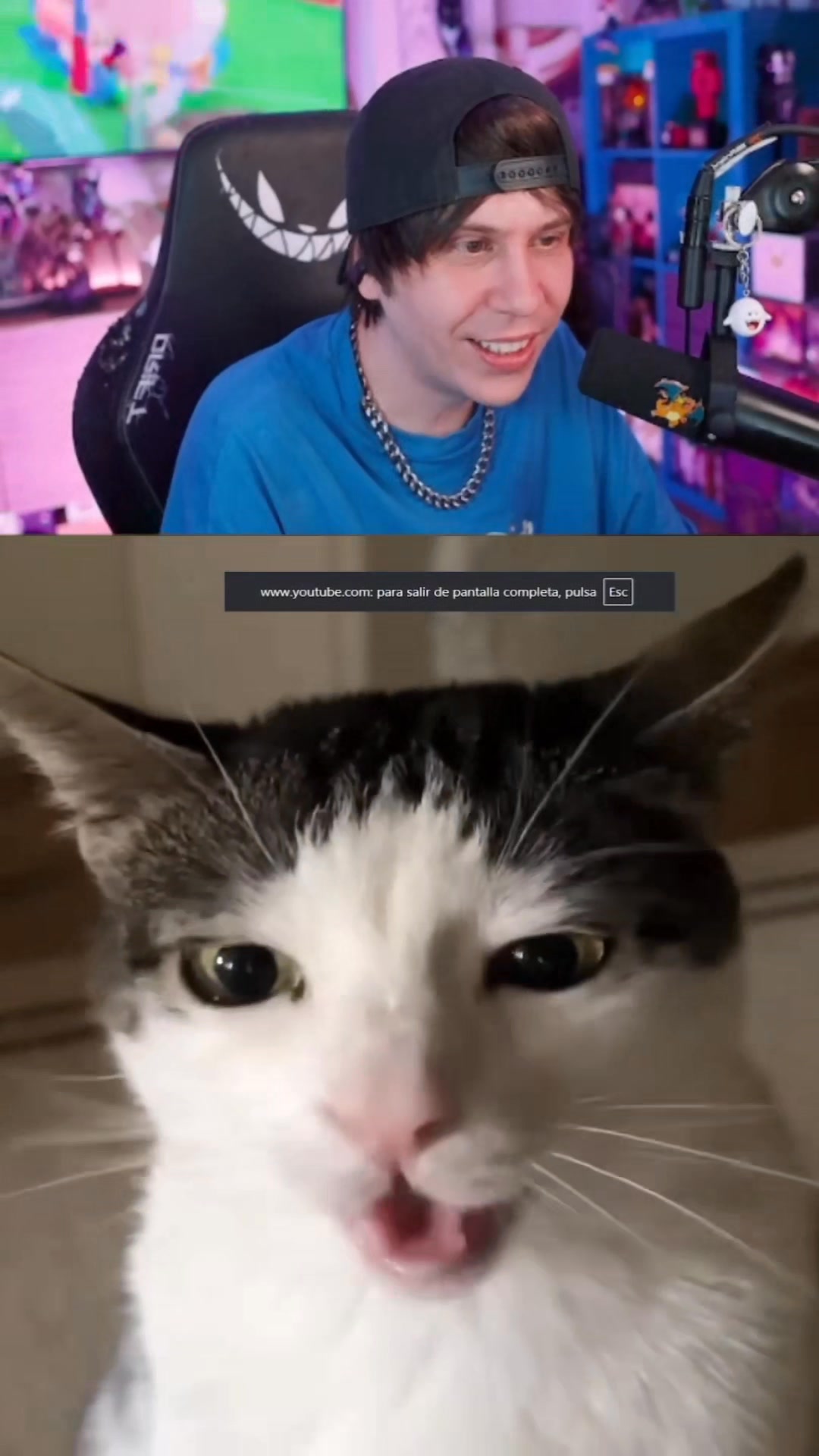 #rubius #parati #fyp #foryou #game #gameplay #risas #Humor #gatos #meme ...