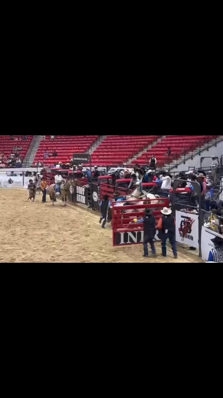576 Thunder Bird INFR-Indian National Finals Rodeo high marked horse ...