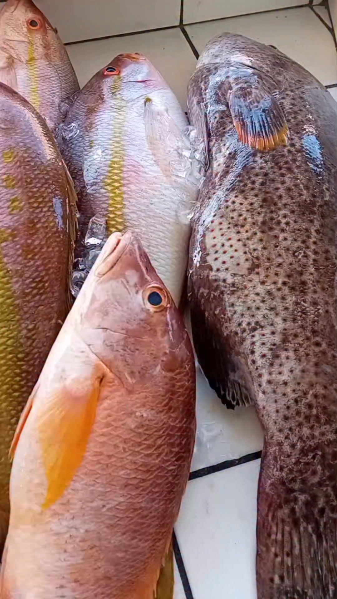 SIMPSONBAY FISH MARKET TEL 5233213 PLEASE COME GET YOUR FISH💋 | Sharon ...