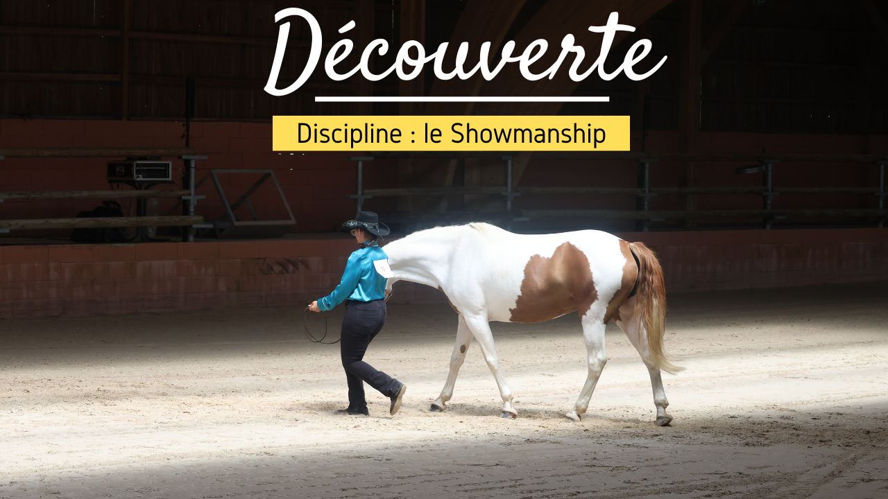 Veste Western équitation Noire Avec Cristaux - Occasion Bon état - Fabriquée Aux États-Unis