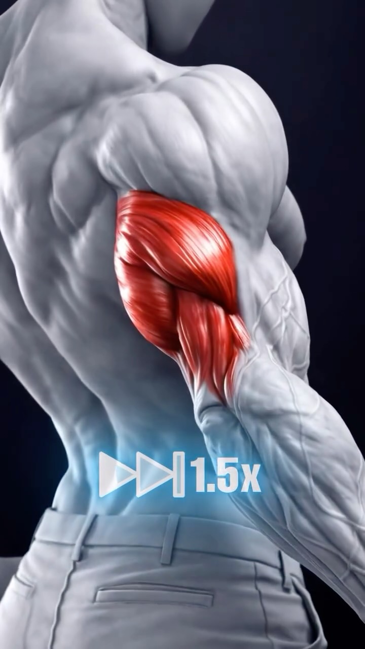 Want your triceps to grow faster? 💪🔥 Train them in a deep stretch ...