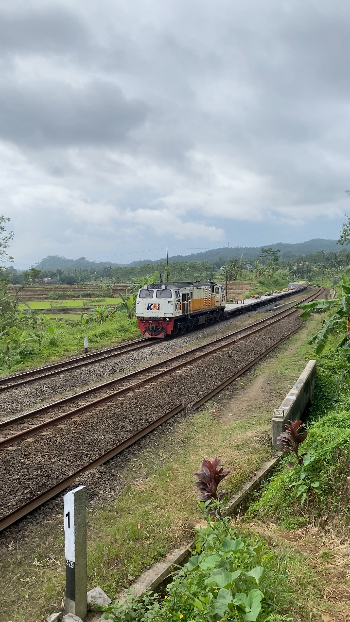 Panoramic train full speed #trains #railway #railroad | Rendra Alvaren ...