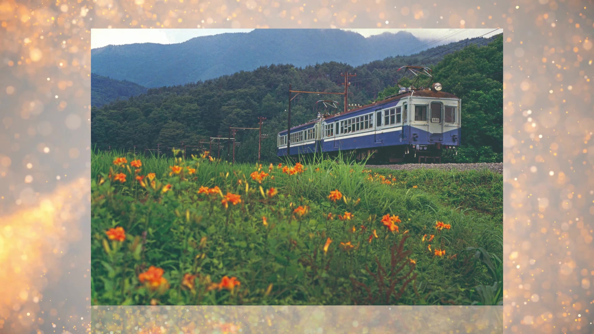 巨匠諸河久の私鉄写真集‼ 富士山麓電気鉄道・松本電鉄・上田丸子電鉄等々 ぎっしり詰まった写真集になってます。 ＃富士山麓電気鉄道 ＃松本電鉄 ...