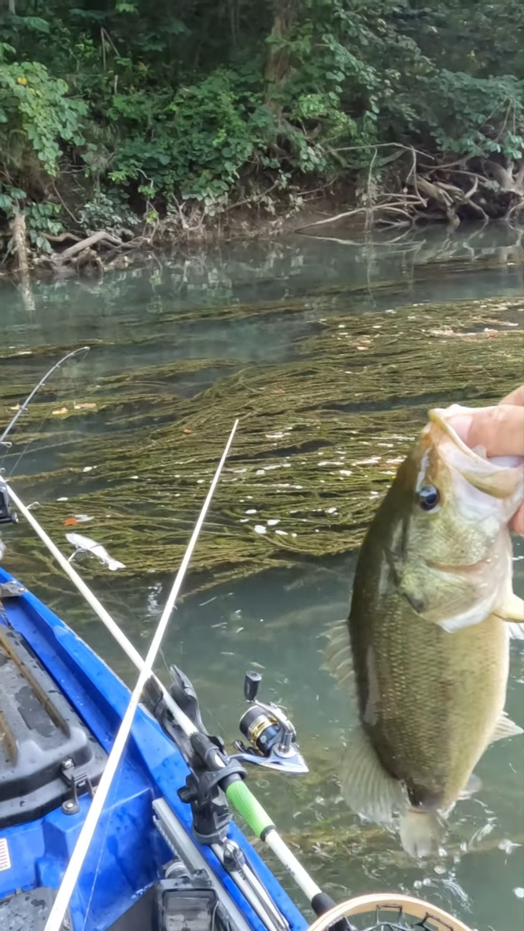 tsunami airwave 10 surf rod med hvy tsawss 1002mh new Elite Rods – Grumpys Tackle stylelimit_5 Fiber Density blankswith no Size:TATUSV100H (7.3:1) Crown 050N Octopus Hooks