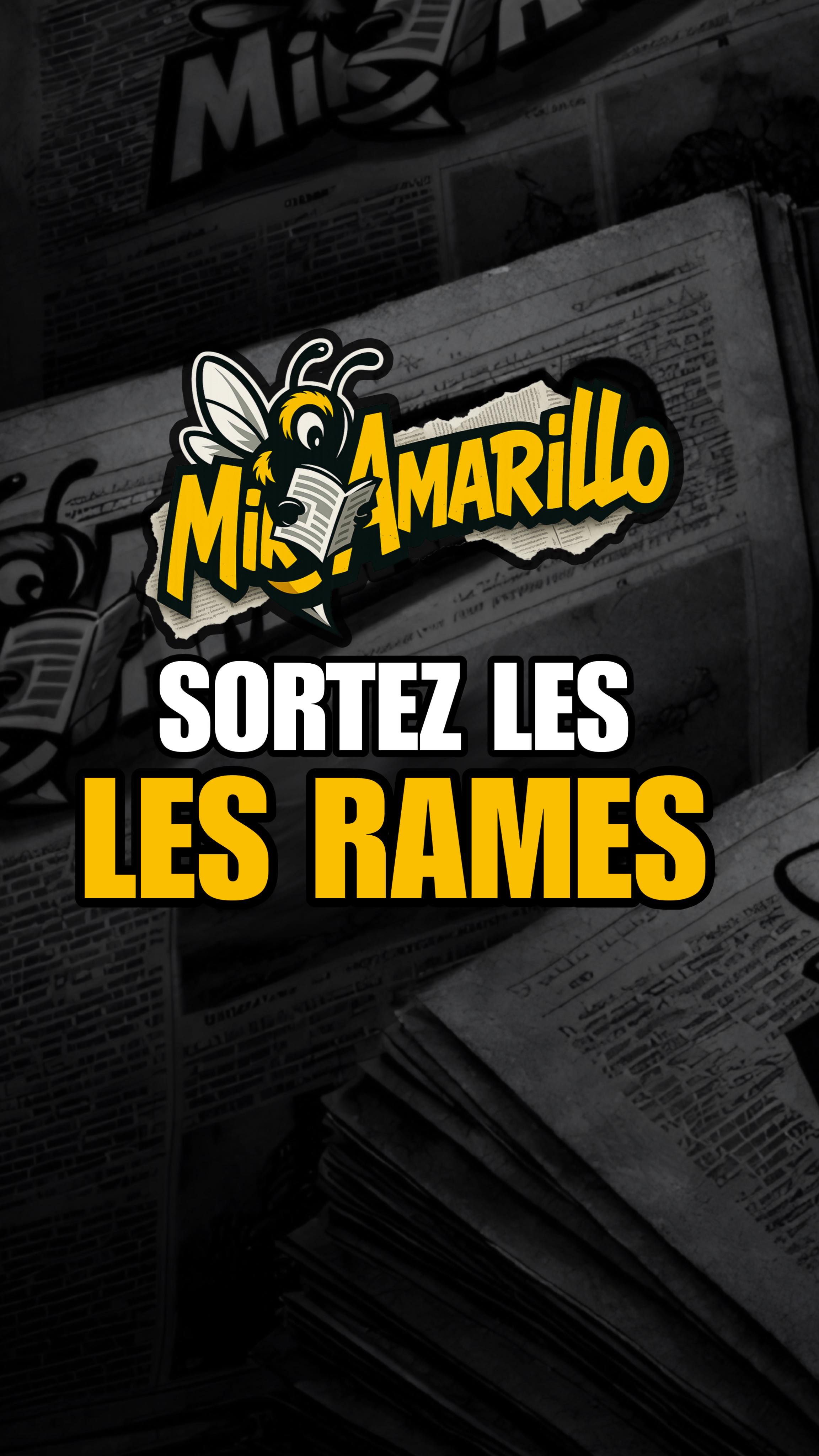 SORTEZ LES RAMES… #franzoliviergiesbert #journaleux #médias # ...