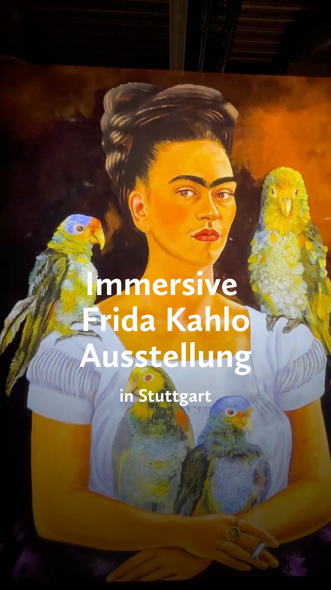 ab-dem-3-12-ist-es-soweit-die-immersive-ausstellung-viva-frida-kahlo