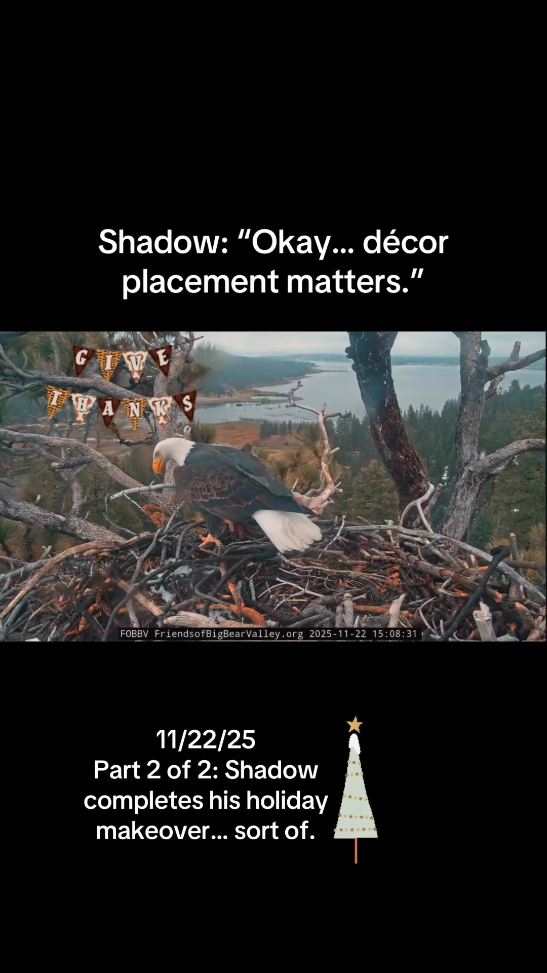 Part 2 of Shadow’s holiday makeover saga yesterday is even sweeter than ...