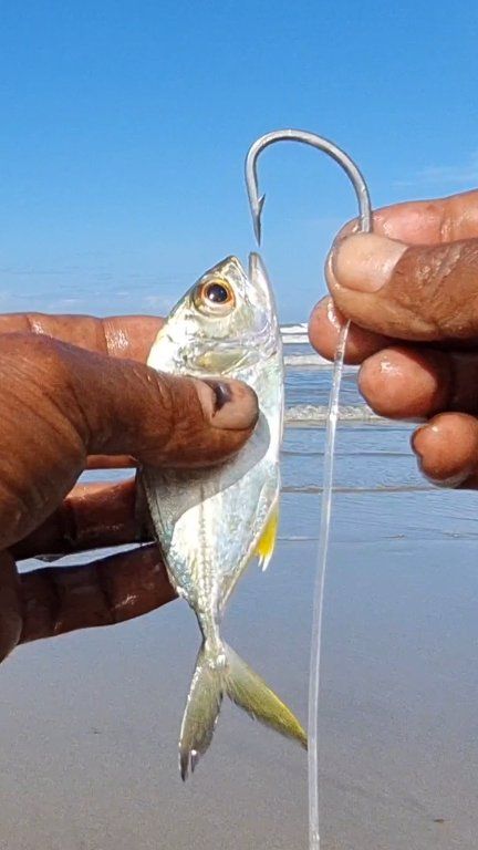 best artificial lures for sargent tx coastal fishing TRUSCEND Easy Catch Pre-Rigged Soft Lures, Unique Vibrating Swim Actio As seen on our very own Bama Beach Bums OBX series for YouTube What are good paddletail and