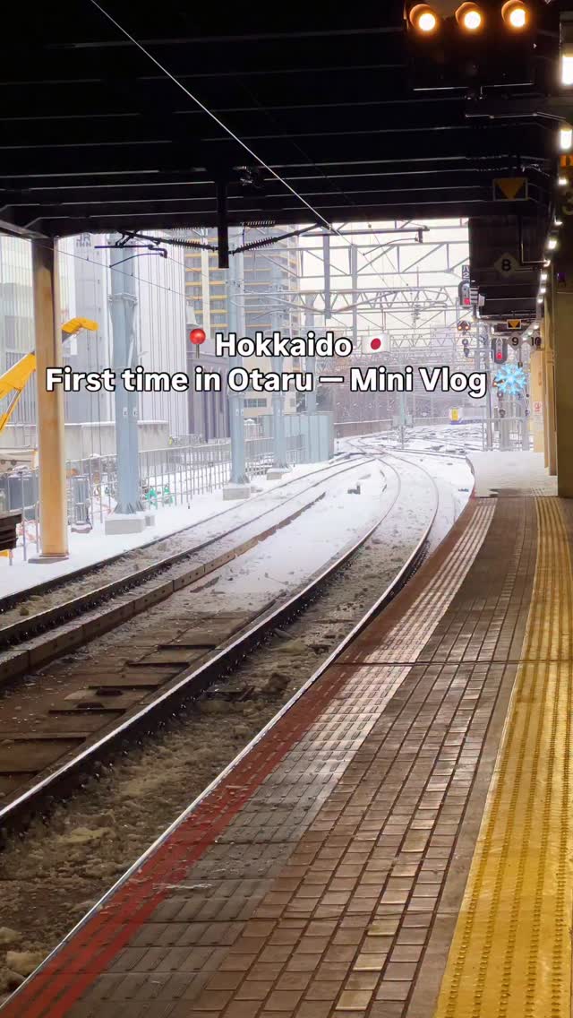 📍 Hokkaido, Japan 🇯🇵 First time in Otaru Mini Vlog ❄️ Where