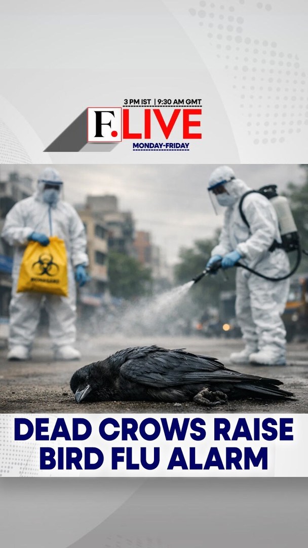 #FirstpostLIVE: Hundreds of dead crows found across Chennai have tested ...