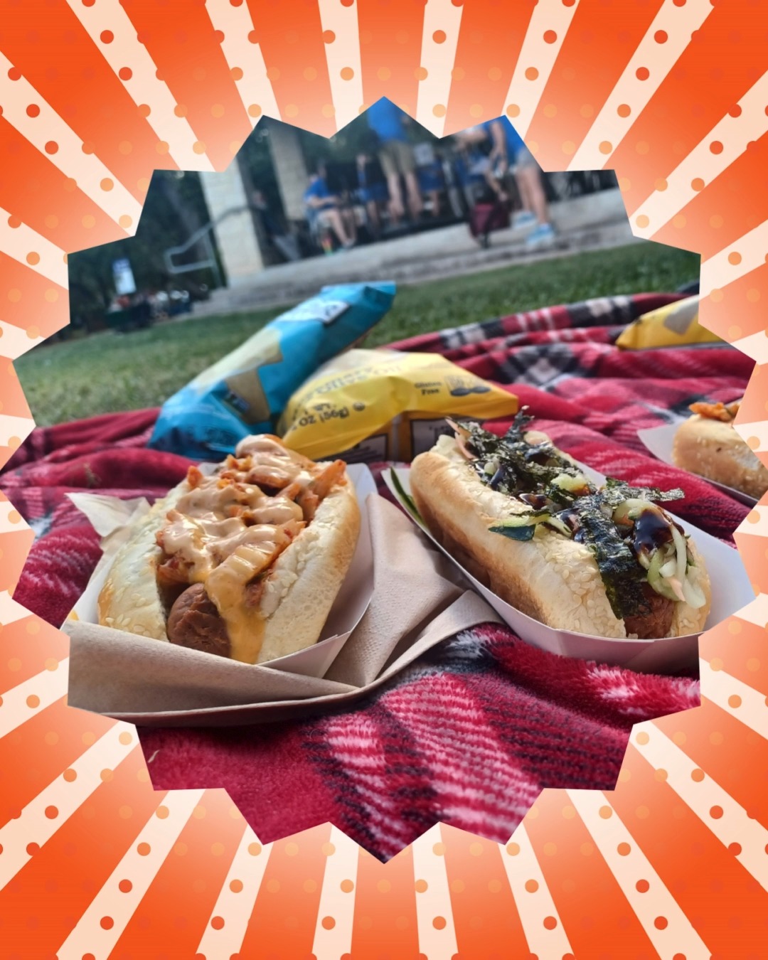 Mission Dogs | Austin TX