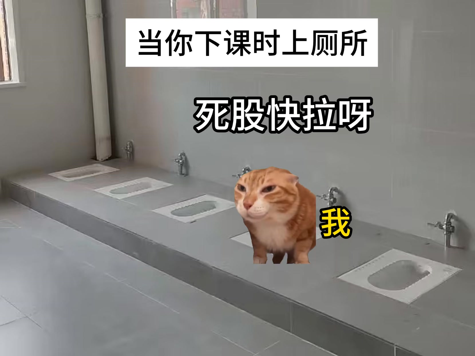 当你下课时上厕所最怕遇到的事 #猫meme #学生时代 #校园 #搞笑 | 体育生cheems | Facebook