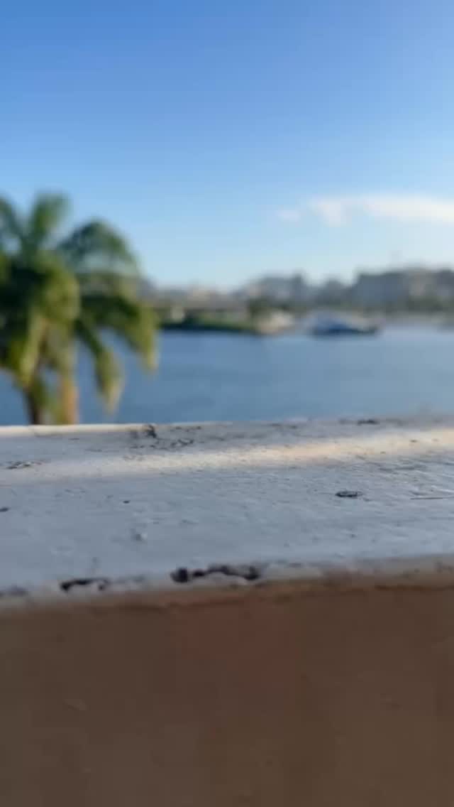 Terrasse Rio | Rio de Janeiro RJ