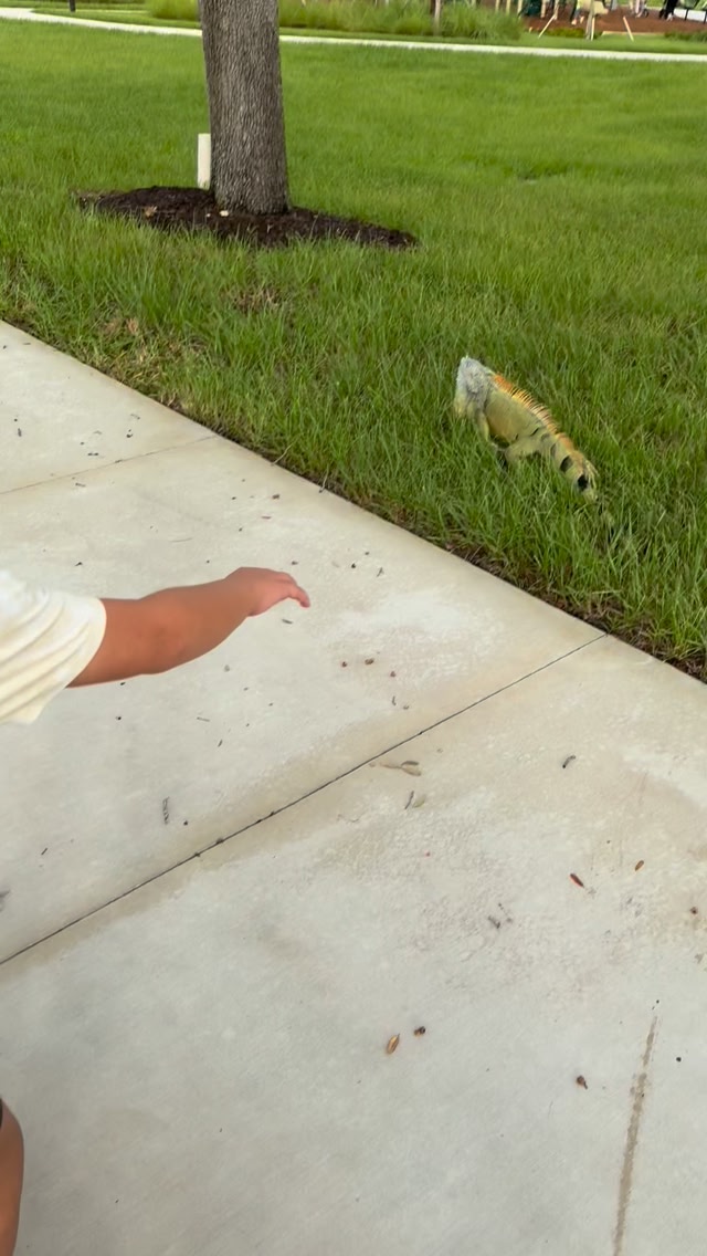 😳 KID ALMOST GETS FINGER BIT OFF 😳 Is this bad parenting??? . . . . # ...