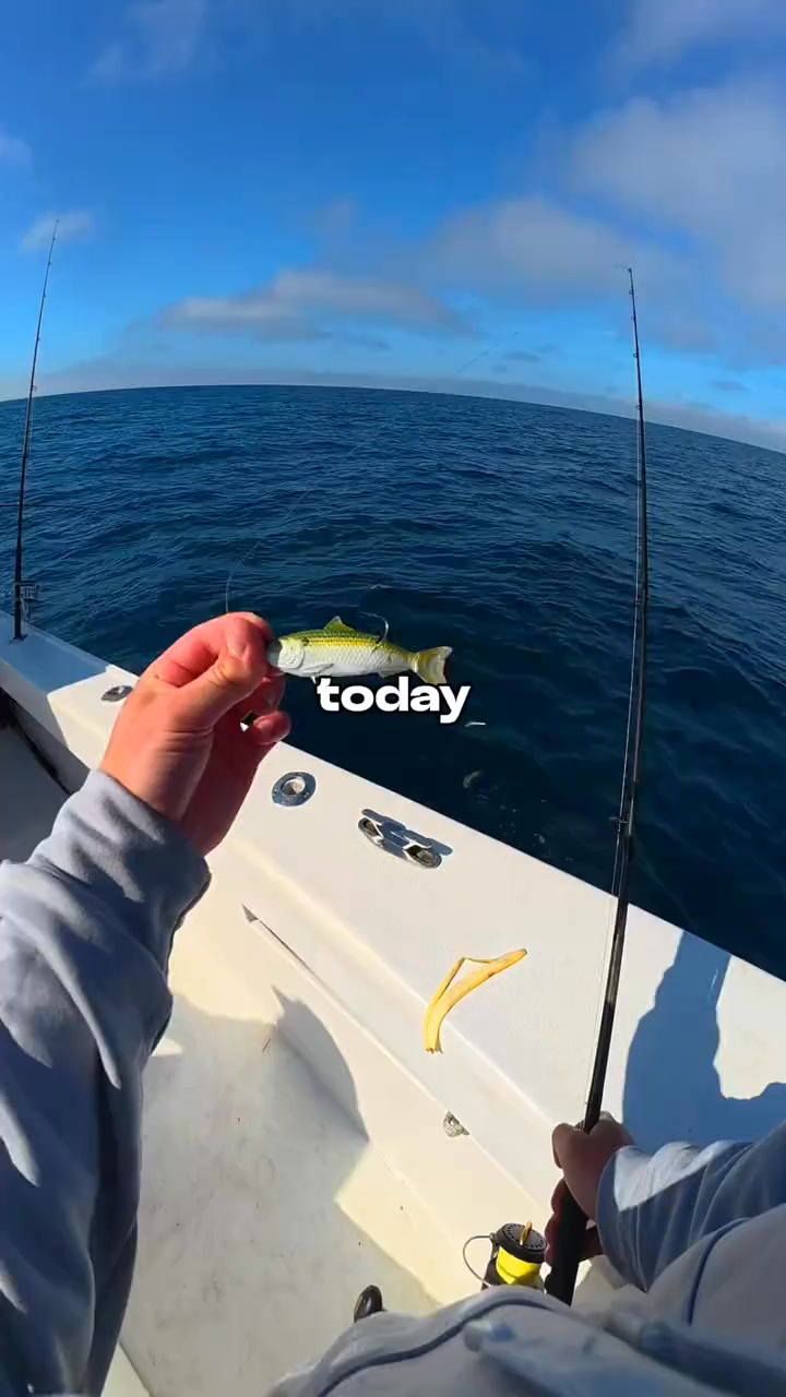 I Hooked The Strongest Fish 🐟🎣 #fishing #fishingvideo | Teang Bunhort ...