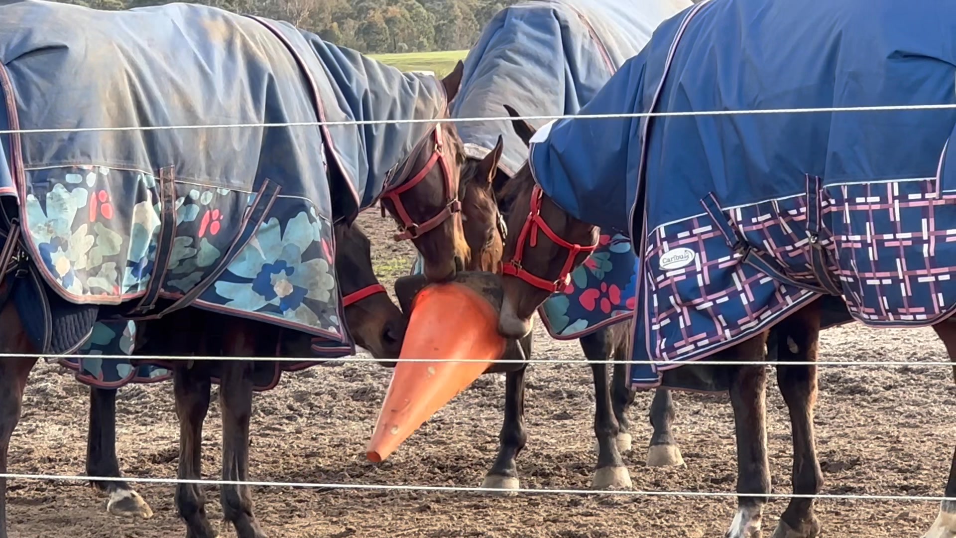 B&A Tindale Racing | Ballarat VIC