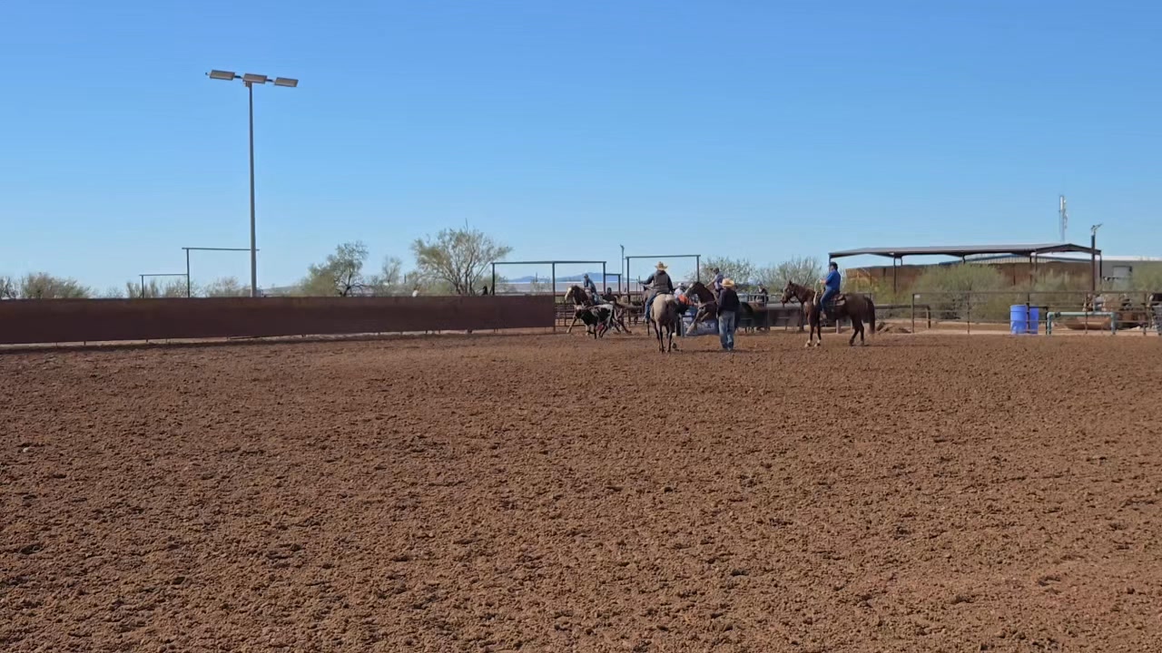Arena is great, weather is beautiful! We are roping Thanksgiving day ...