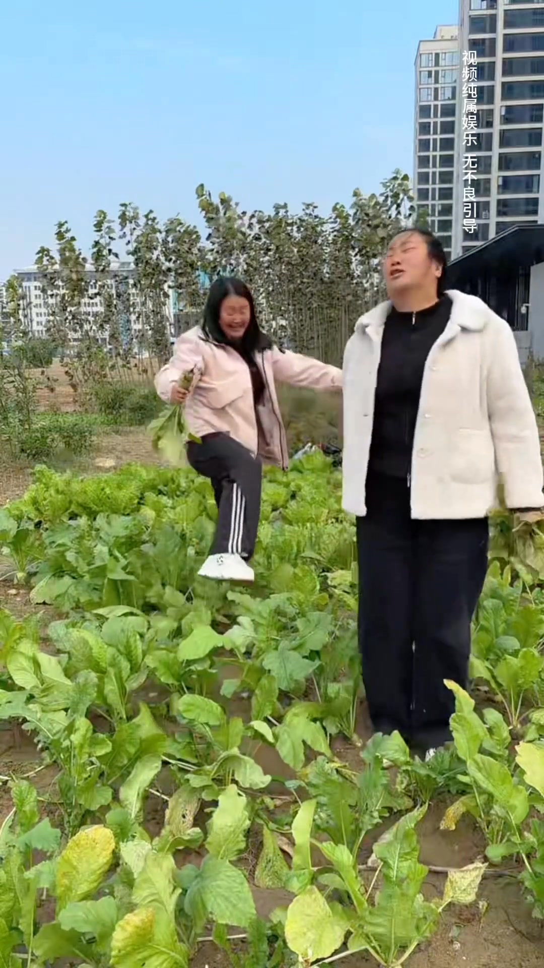 這兒媳婦是真調皮#農村搞笑段子 #搞笑 #婆媳生活 #幽默搞笑視頻 #小芳和婆婆 | 王继儒 | Facebook