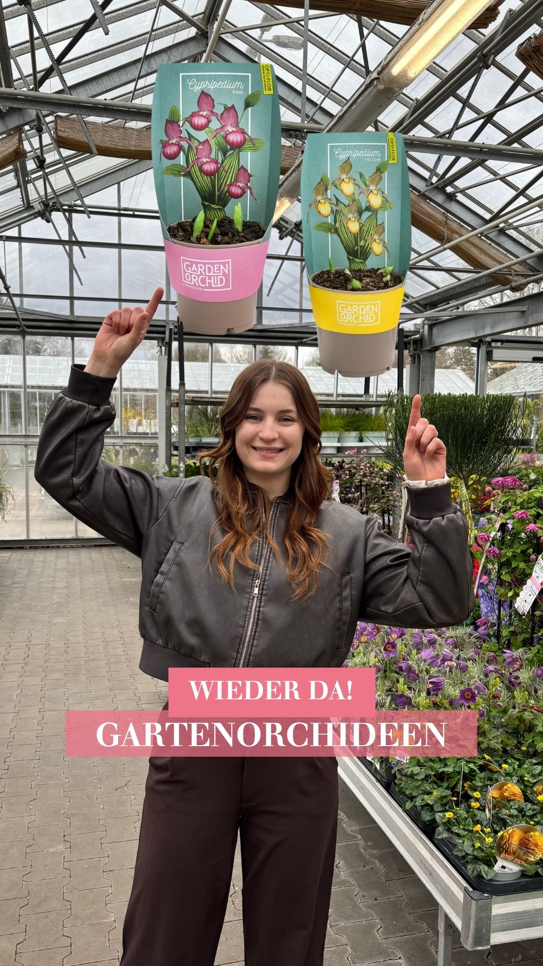 JUHU! Bald wieder in den Dehner Märkten: die Gartenorchideen wie zum Beispiel Freiland-Frauenschuh, Calanthe, Japanorchidee oder Knabenkraut. Online sind alle bis auf das Knabenkraut bereits
