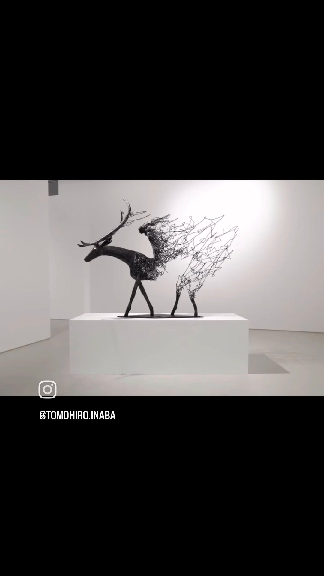 稲葉 友宏 Tomohiro Inaba. Recognized for his stunning animal