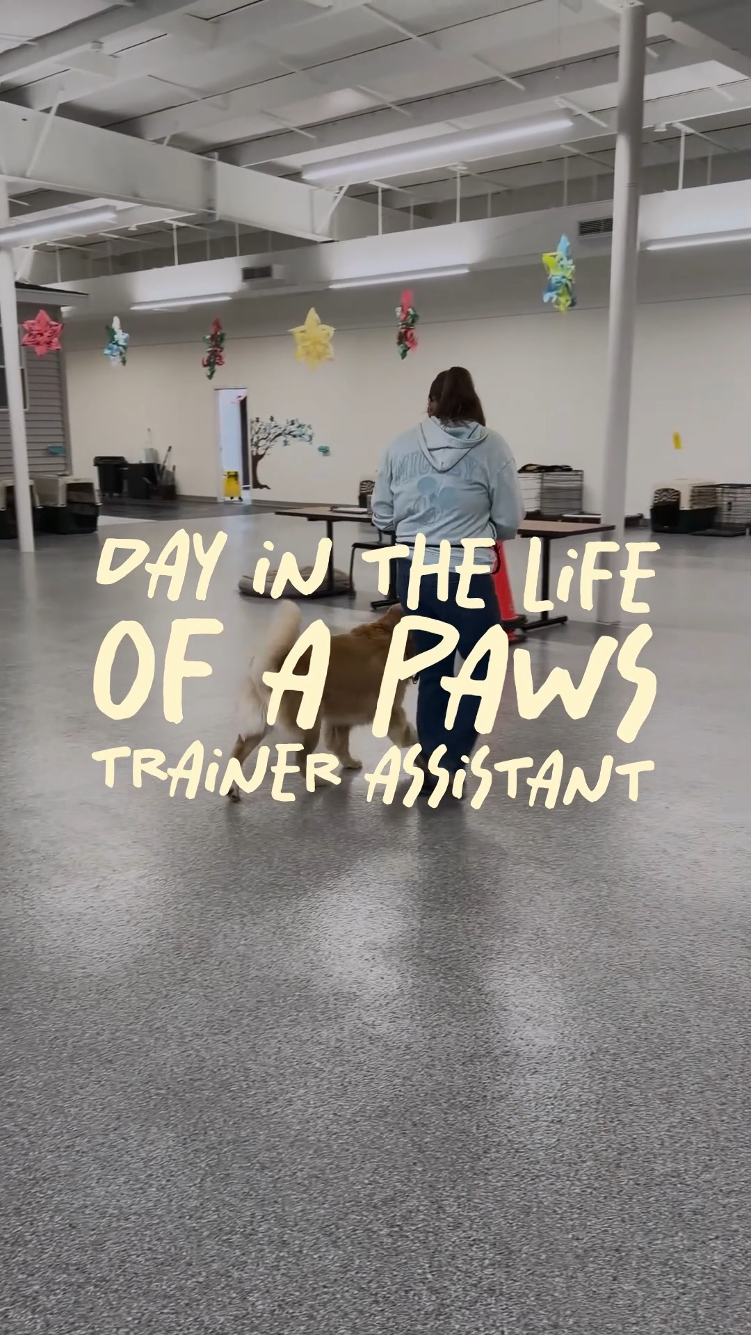 This could be you! 👀🐾 Love dogs? Want to change lives? A day in the ...