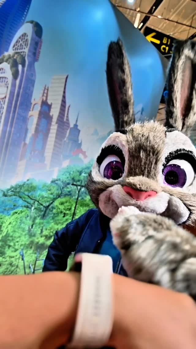 🦊🐰 Zootopia has landed at Changi Airport Shop the refreshed Shilla Duty ...