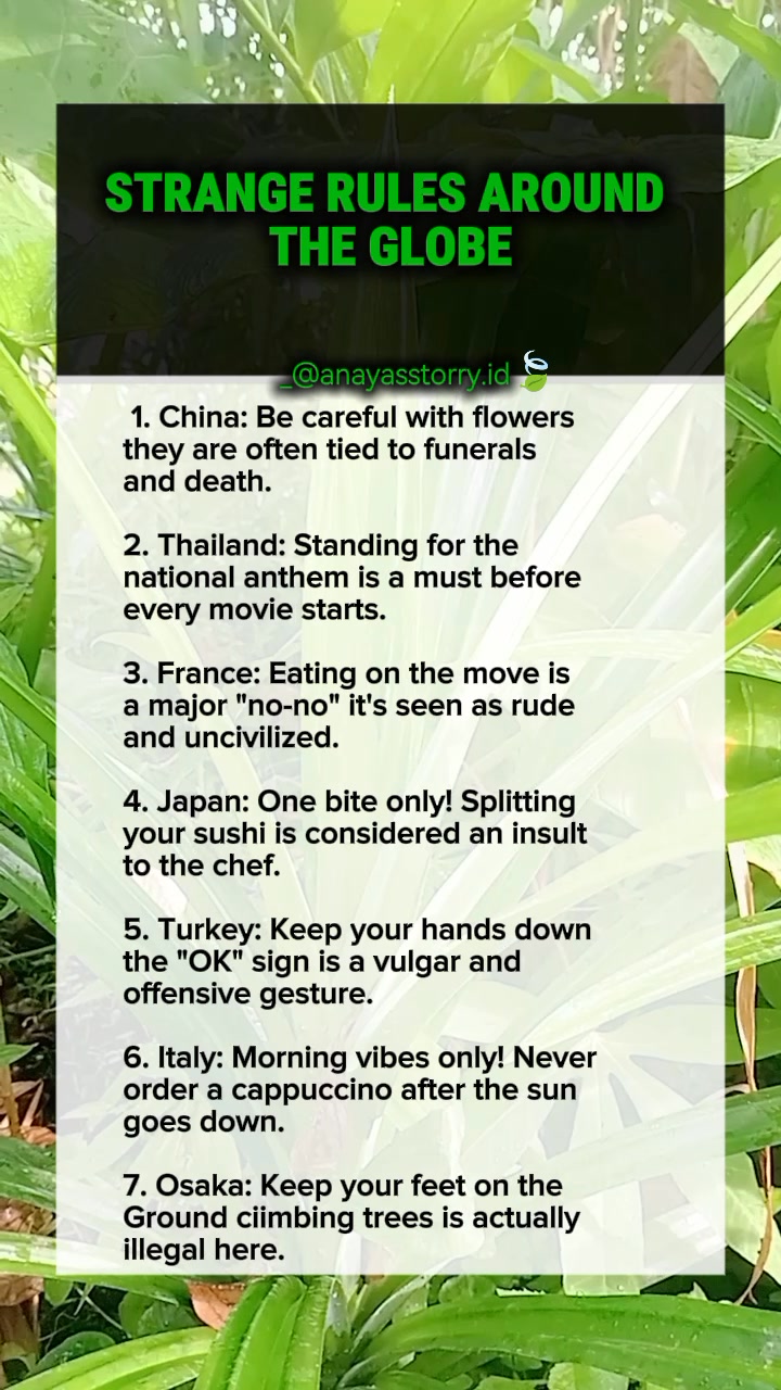 Strange Rules Around The Globe 🌎 #facts #usareels #facebookreel #trend ...