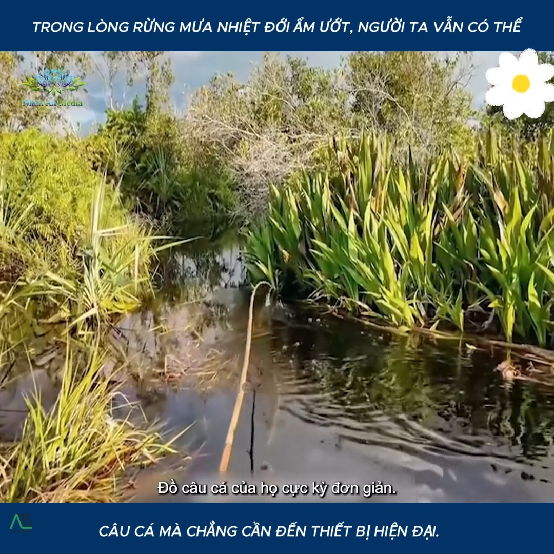 Những con cá nhỏ tươi rói trở thành “vũ khí bí mật”, giúp hai anh em hạ ...