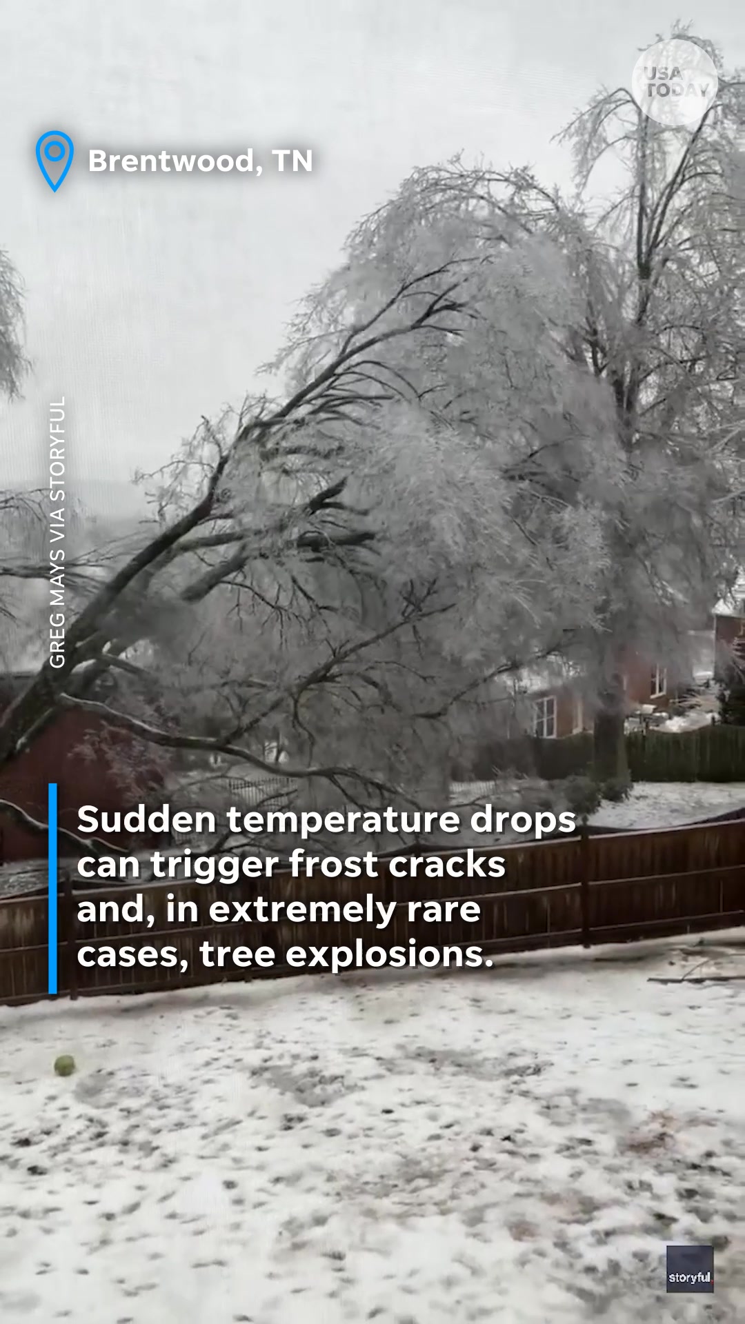 Ever heard suspicious loud cracks that sound almost like gunshots ...