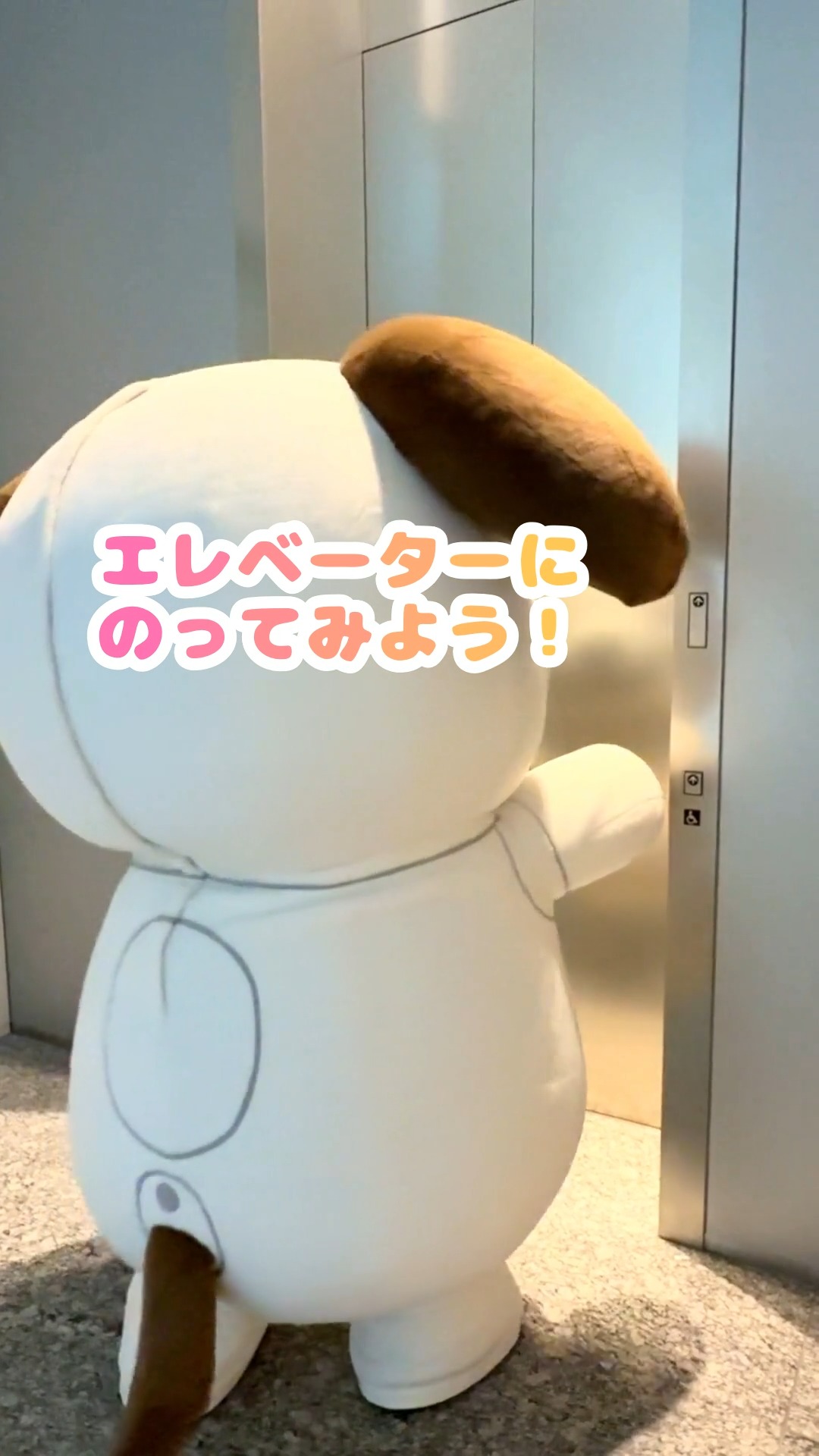 先代AIBO ラッテ（ERS-311）とマカロン（ERS-312）の25周年🎉を記念し