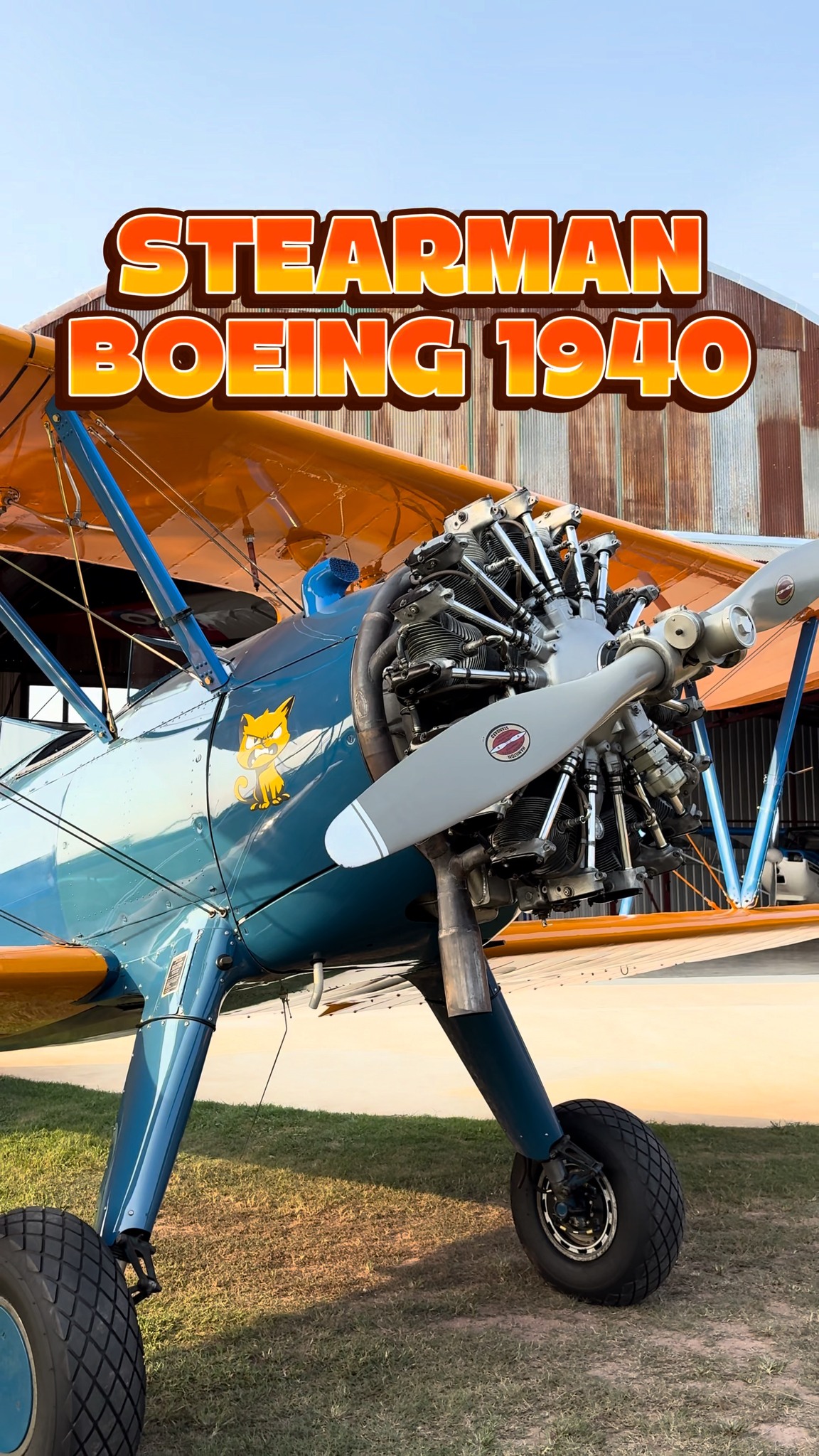 STEARMAN Boeing 1940 specification #aircraft | BFA Flying Club
