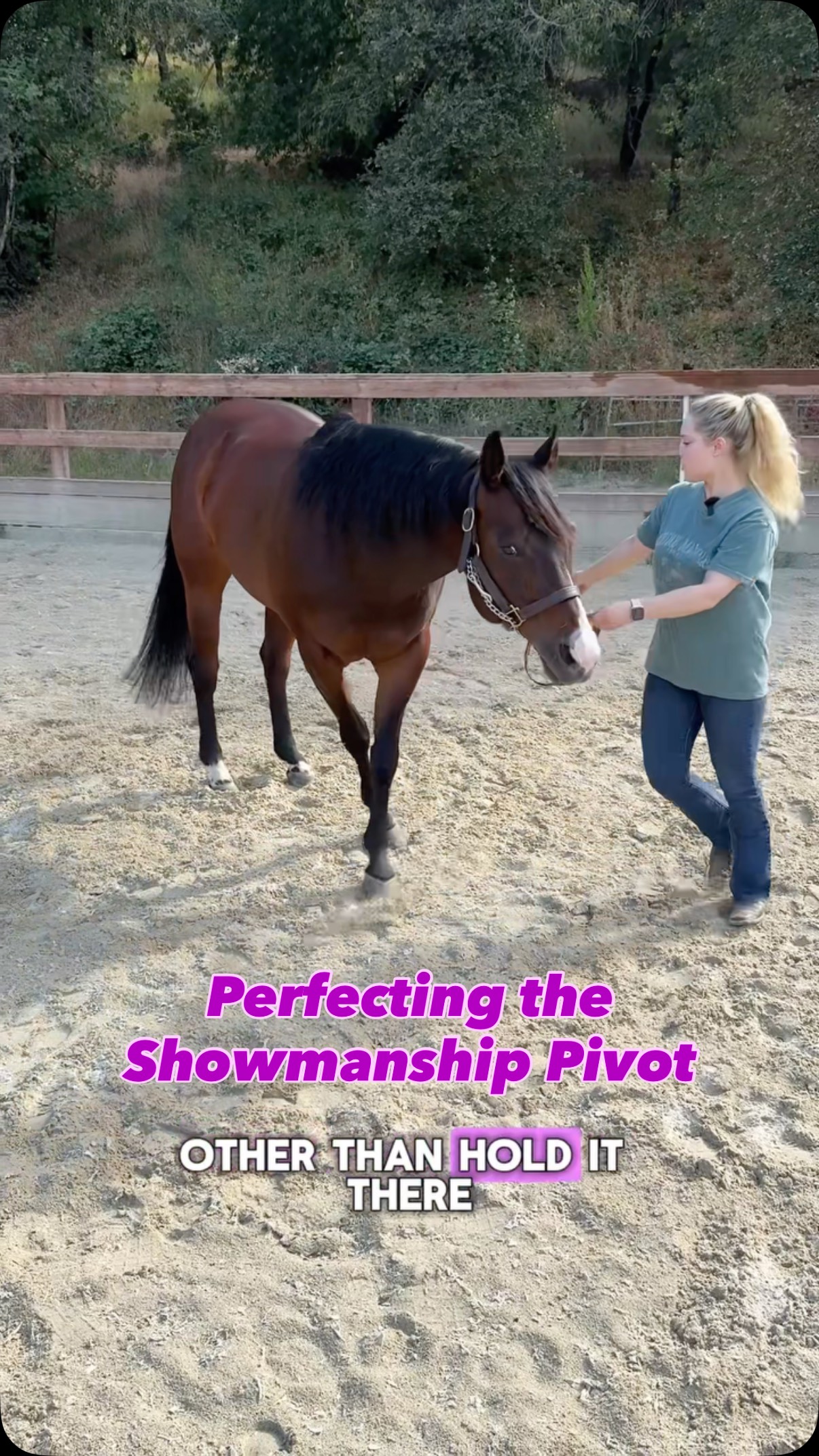 Perfecting the showmanship pivot #equestrian #aqha #showmanship # ...