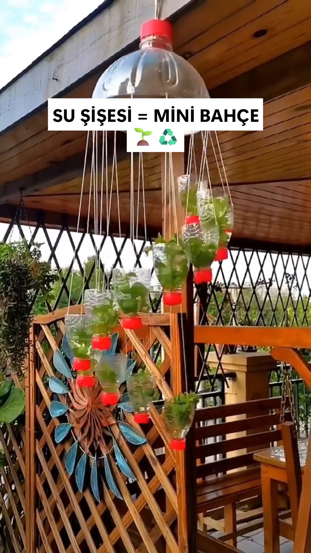Su şişesi = mini bahçe 🌿 Basit, pratik ve geri dönüşümlü bir fikir 💡 ...