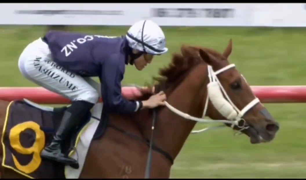 One of the most exciting days of racing on the NZ Racing Calendar ...